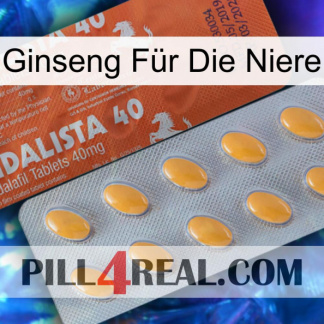 Ginseng Für Die Niere 43